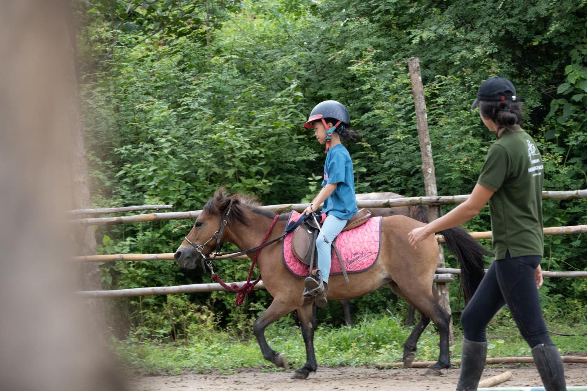 Namkhan Horses Stables Luang Prabang Buitenkant foto