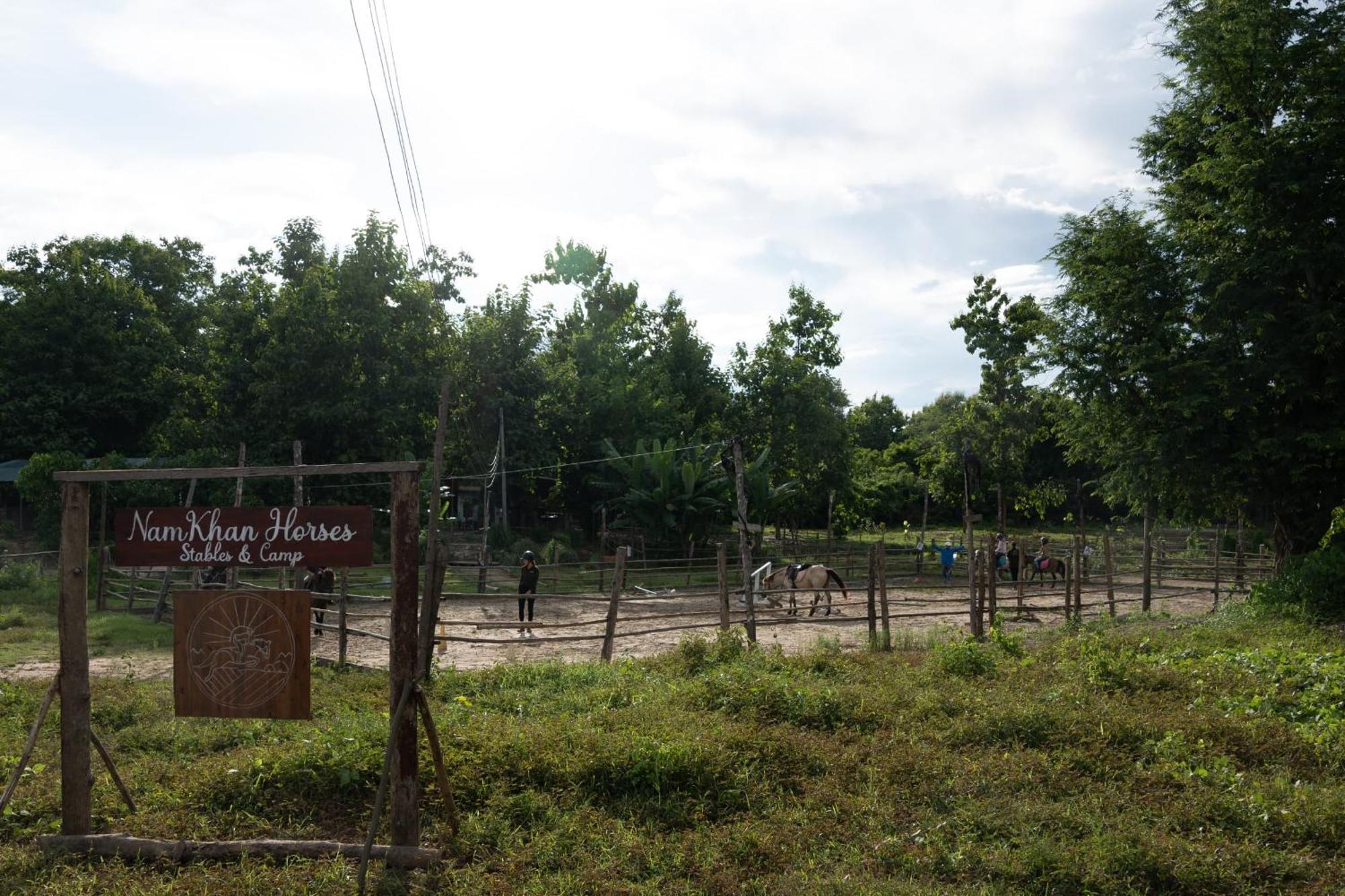 Namkhan Horses Stables Luang Prabang Buitenkant foto